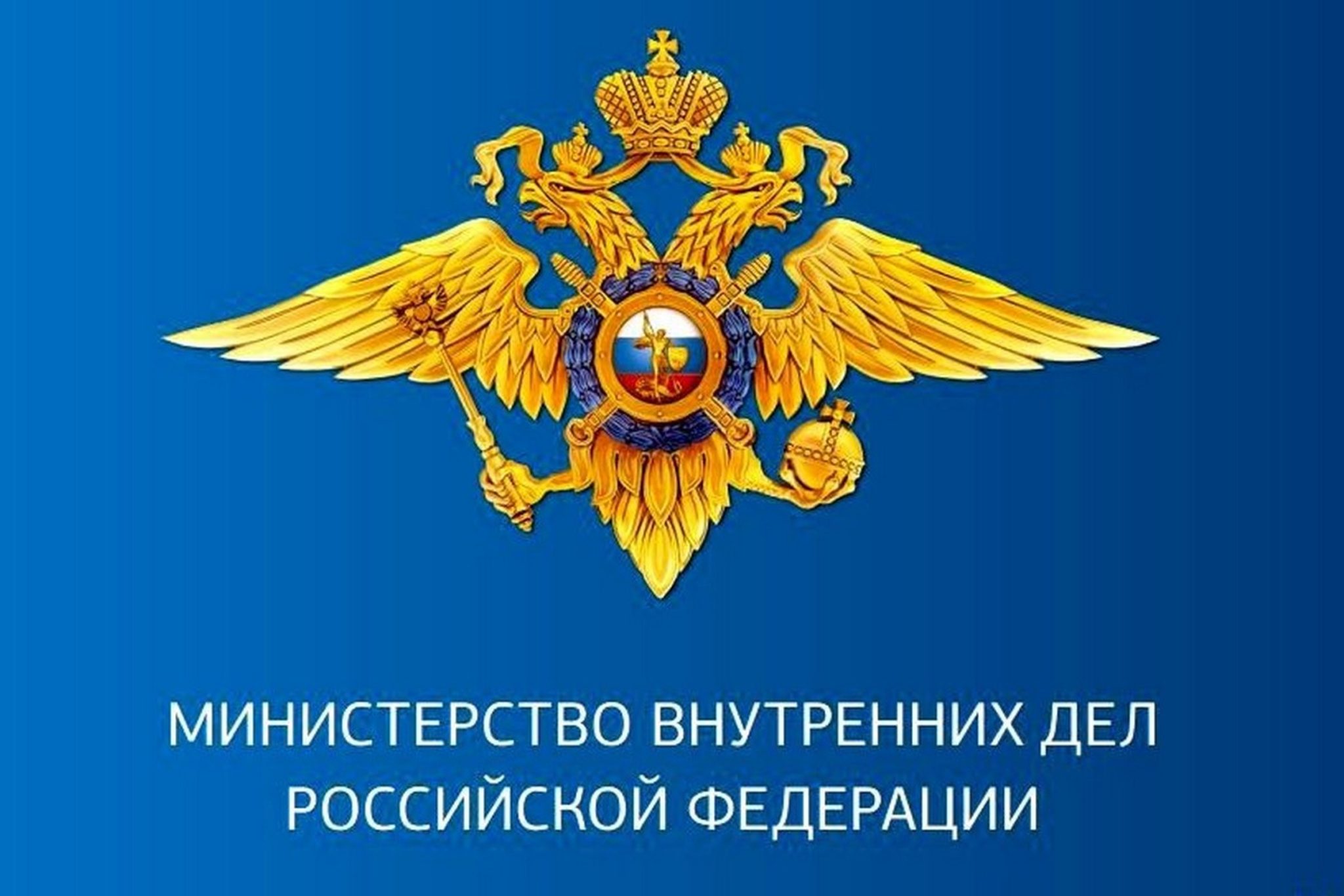 MVD-RF.jpg